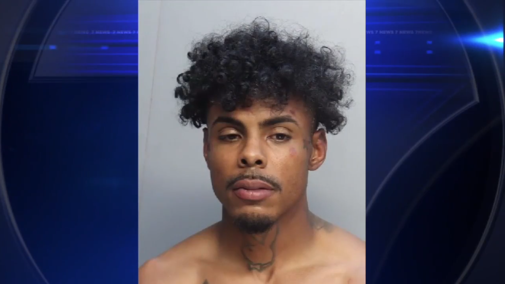 Man accused in Hialeah carjacking, wild pursuit that ended with PIT maneuver in NW Miami-Dade faces judge