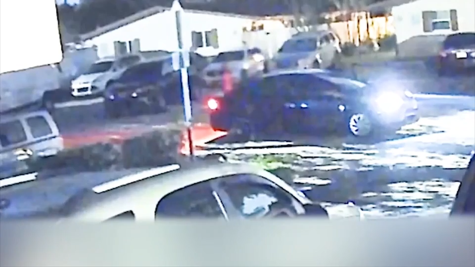 BSO release surveillance video showing fatal hit-and-run in Pompano Beach amid search for driver