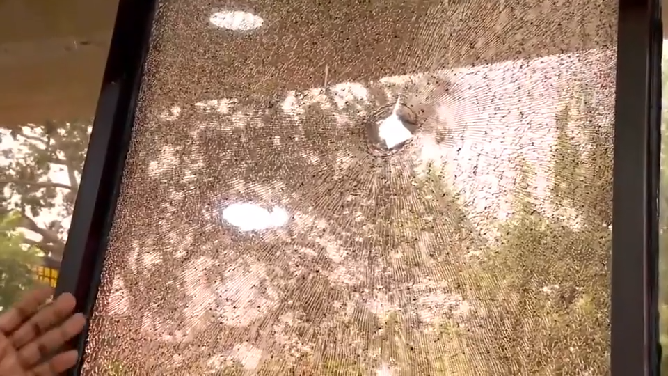 Young girl OK after being grazed in head by bullet in Pompano Beach ...