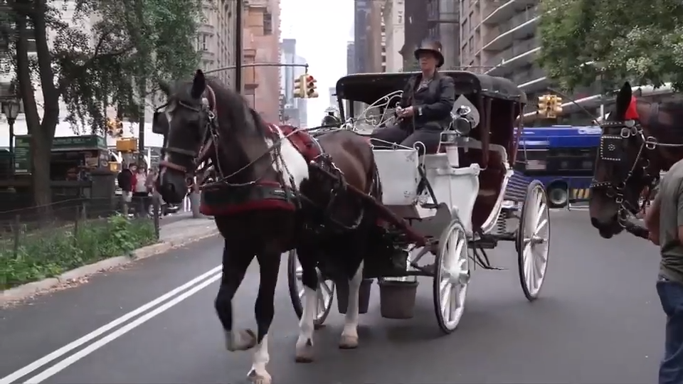 New York City’s iconic horse-drawn carriages expected to take their last trot