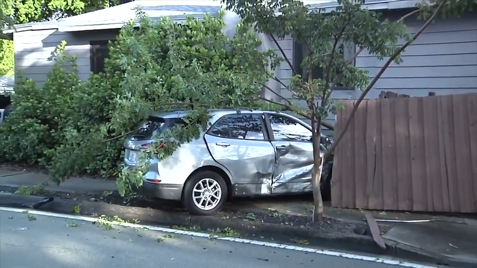 1 hospitalized after 2 car collision leads to vehicle striking tree in Fort Lauderdale