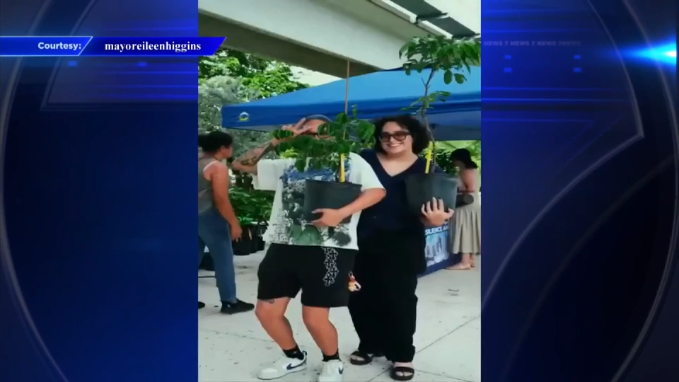 City of Miami gives away 600 fruit trees to combat extreme heat