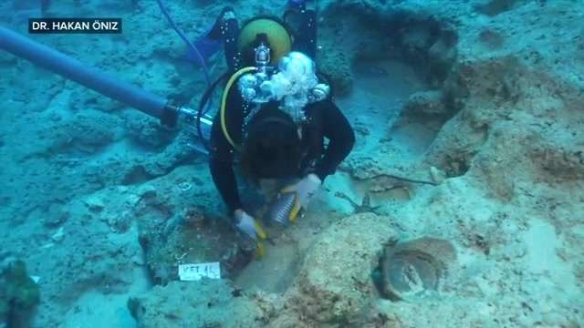 World’s oldest shipwreck found off coast of Turkey