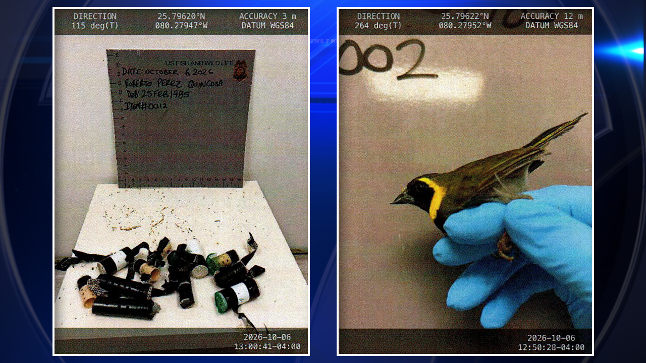 2nd man arrested for allegedly smuggling birds into the US after returning from Cuba